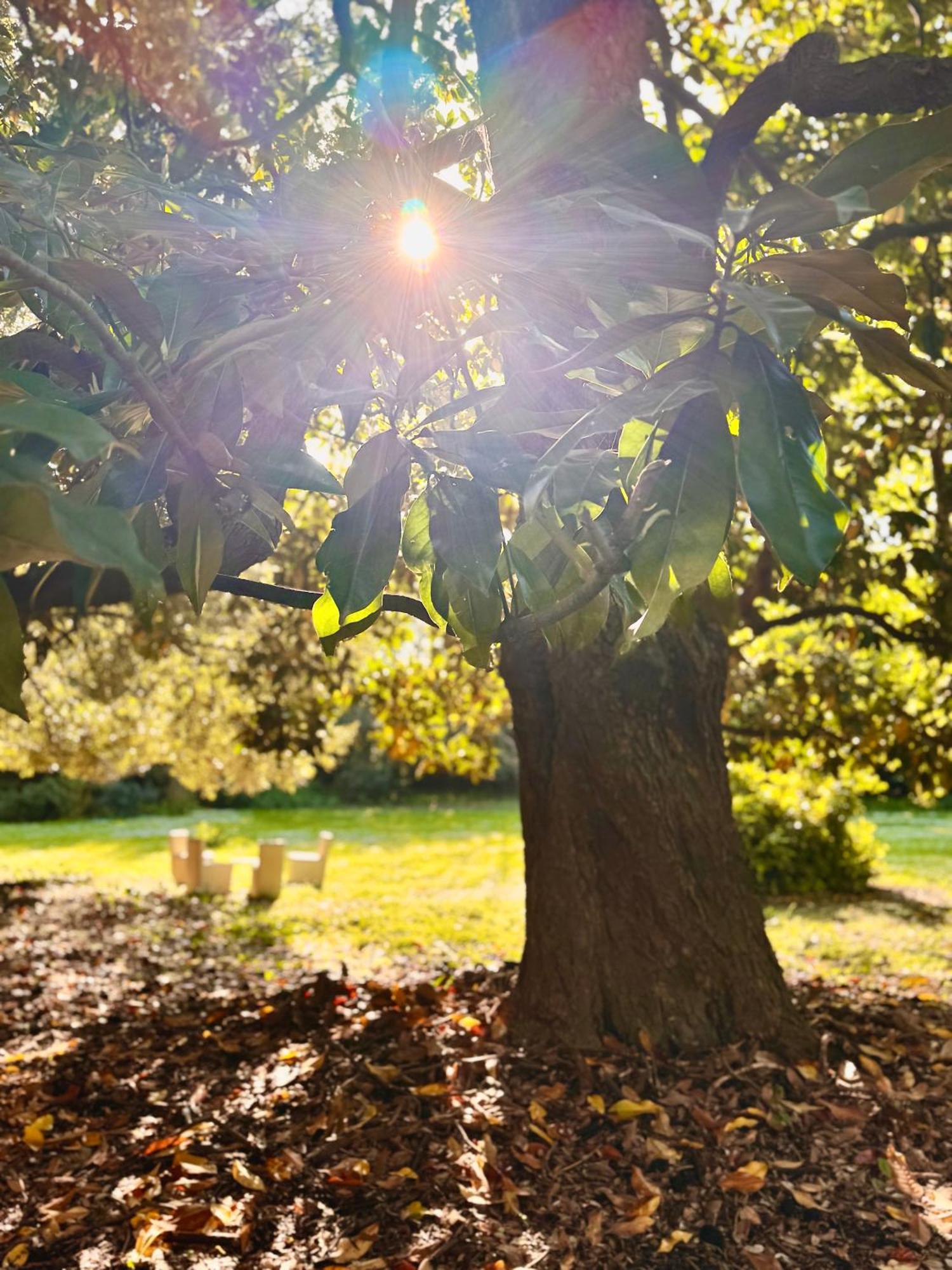 Villa La Dogana B&B Di Charme - Historic Villa With A Beautiful Garden - Private Parking Lucca Exterior foto