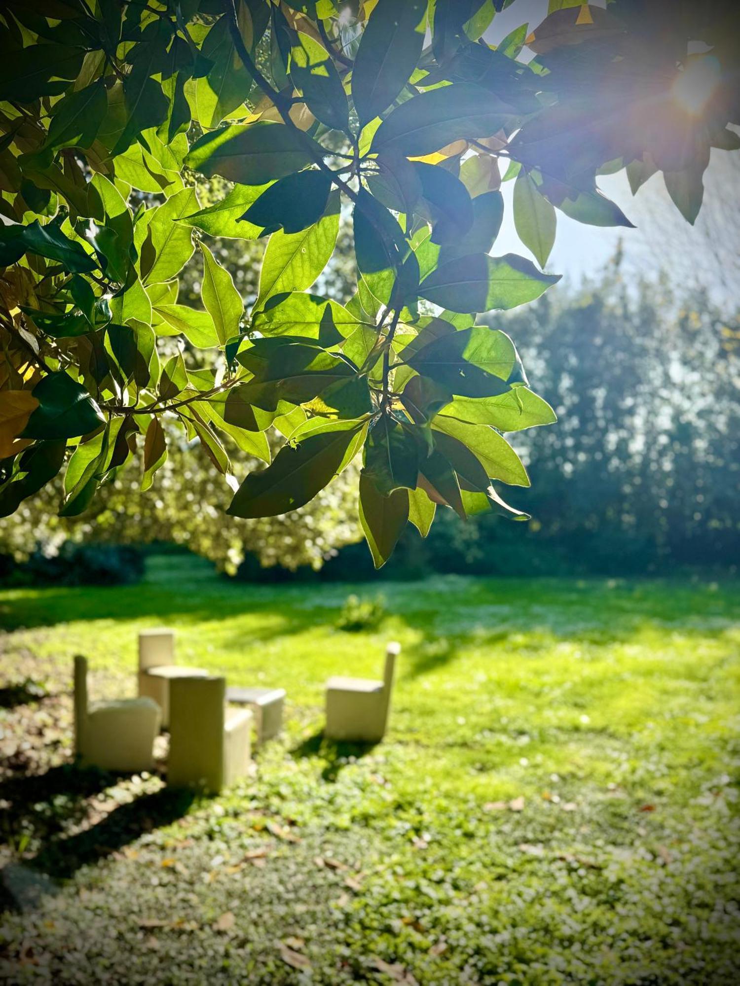 Villa La Dogana B&B Di Charme - Historic Villa With A Beautiful Garden Lucca Exterior foto