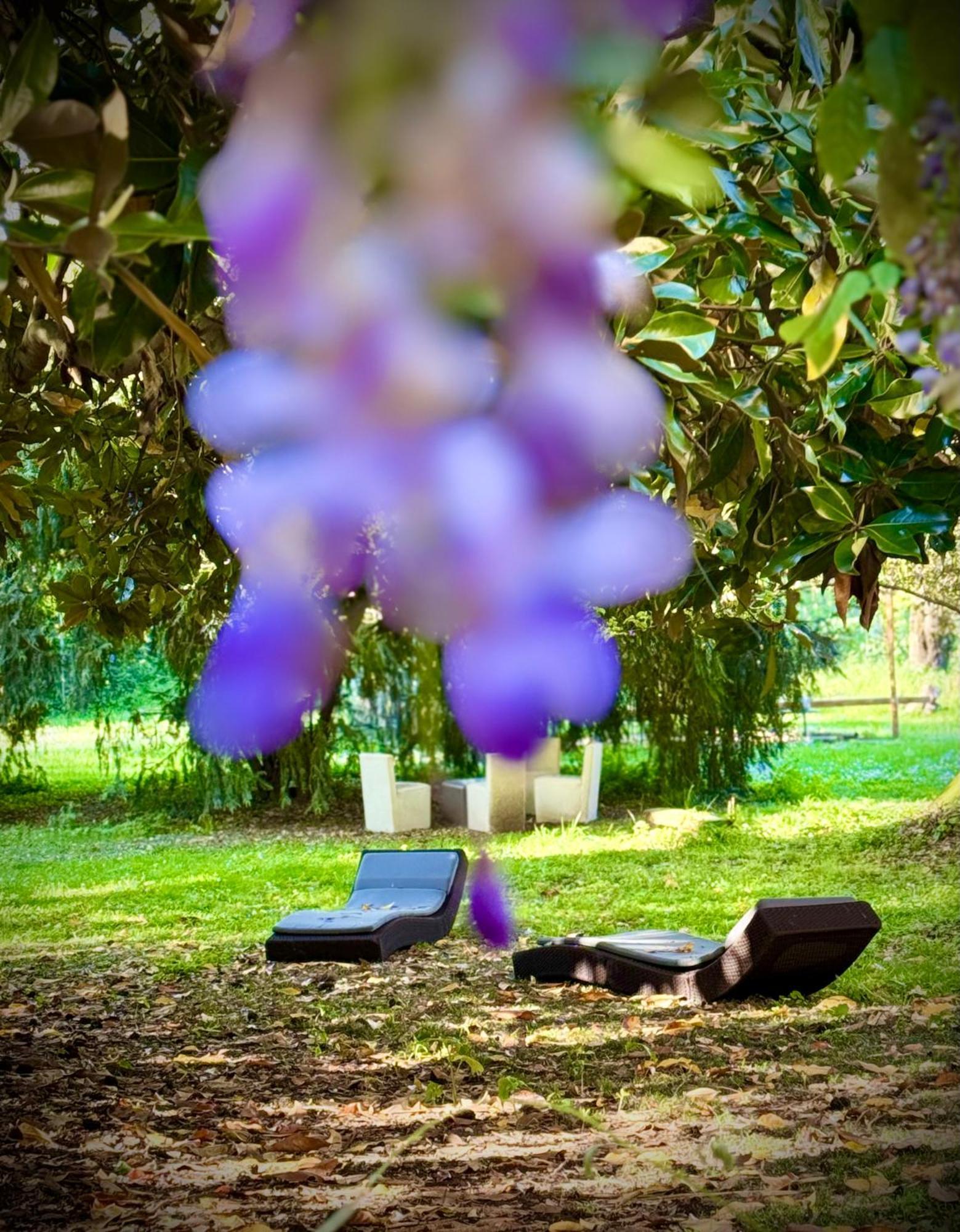 Villa La Dogana B&B Di Charme - Historic Villa With A Beautiful Garden Lucca Exterior foto