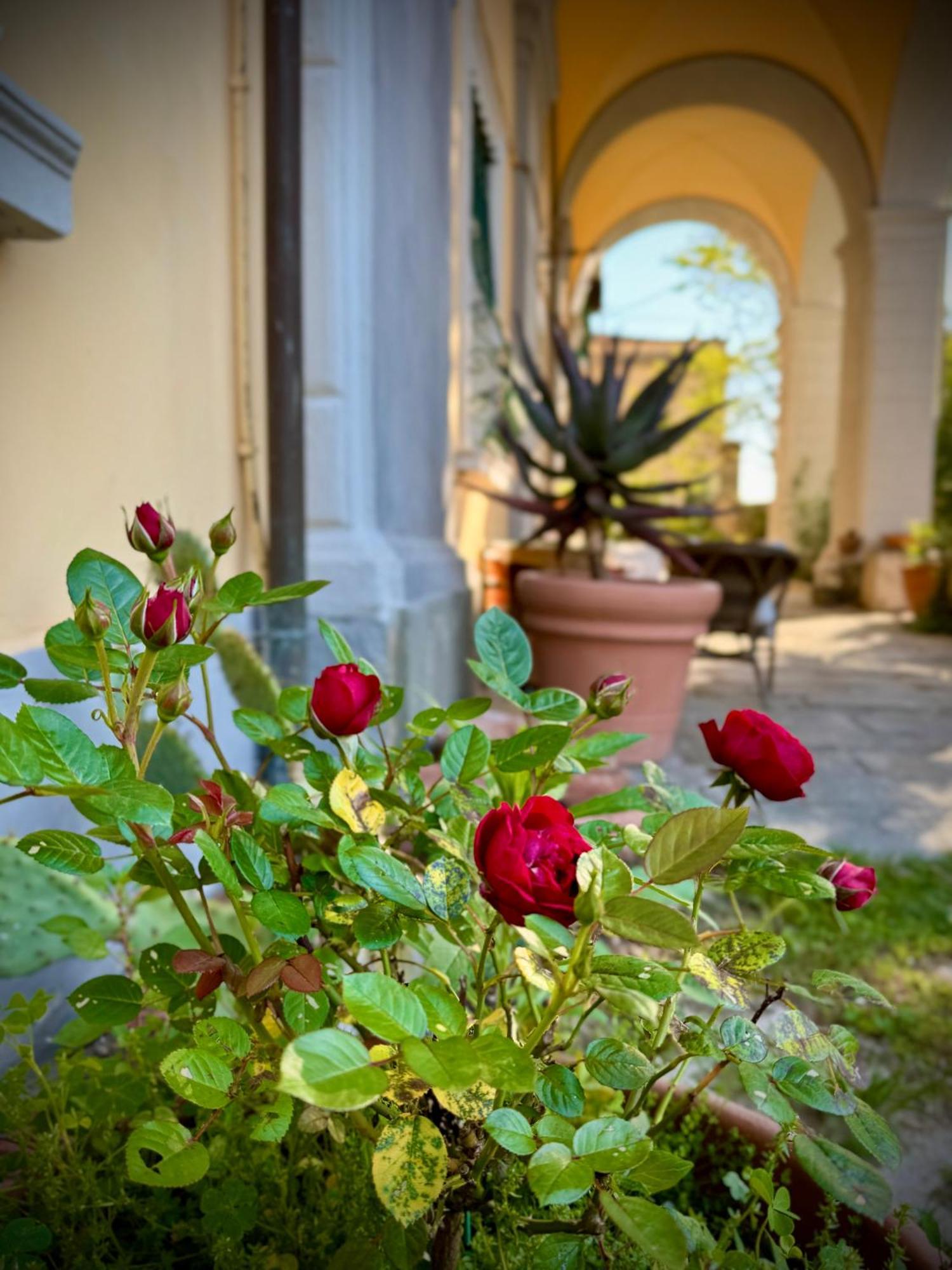 Villa La Dogana B&B Di Charme - Historic Villa With A Beautiful Garden Lucca Exterior foto