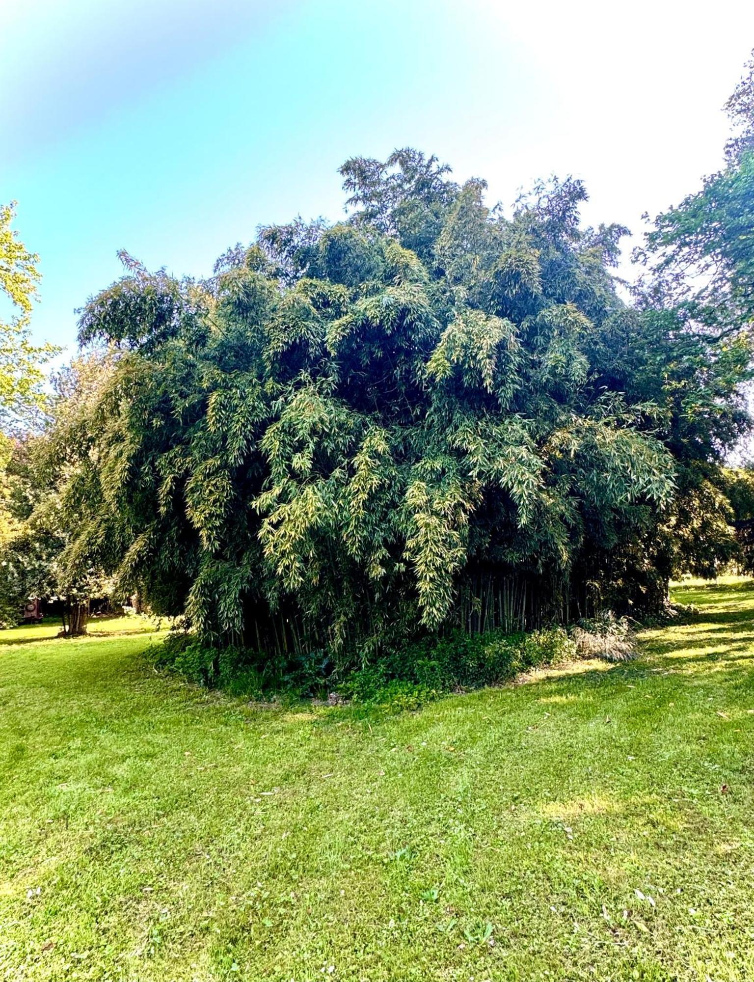 Villa La Dogana B&B Di Charme - Historic Villa With A Beautiful Garden Lucca Exterior foto