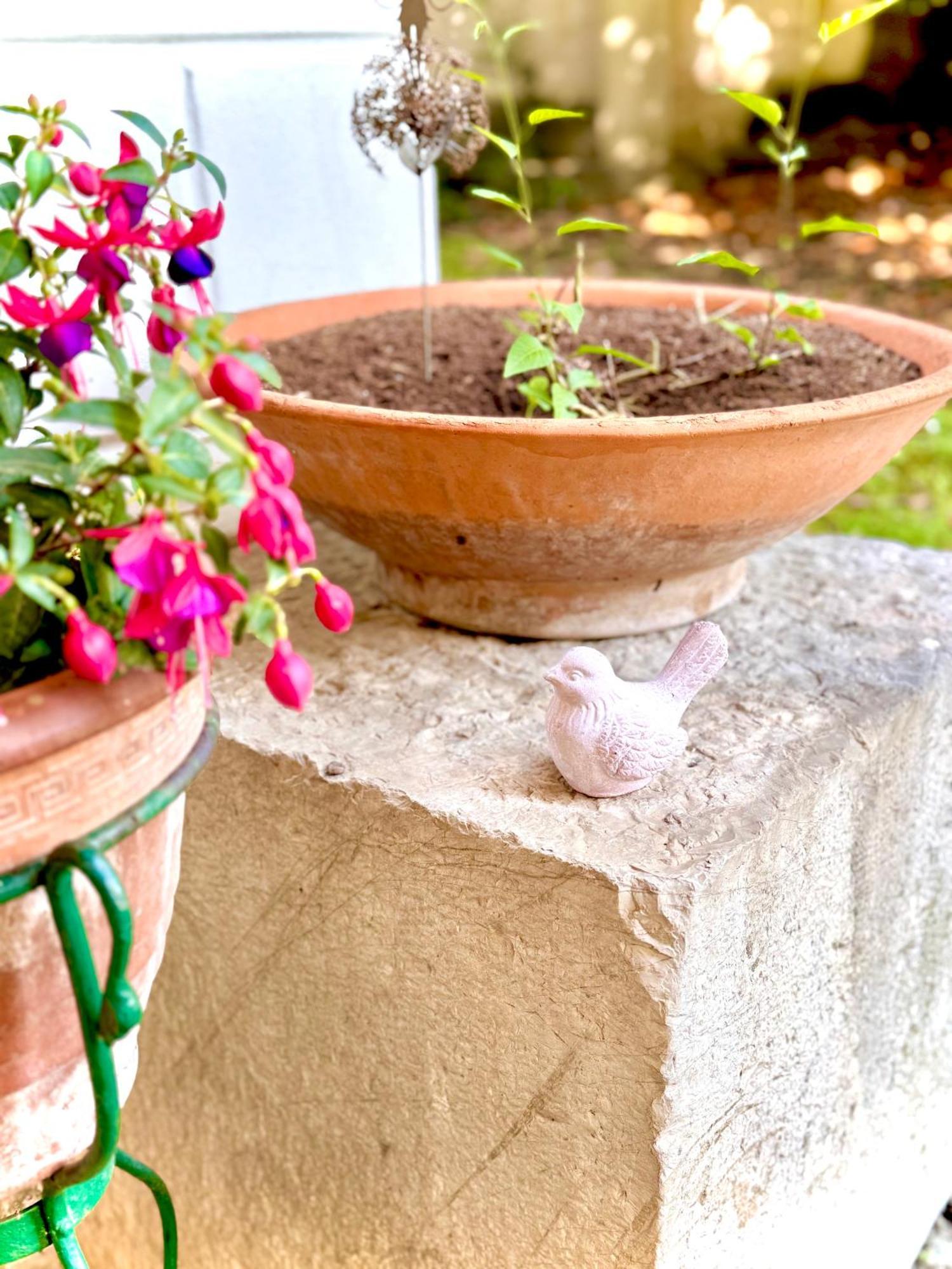 Villa La Dogana B&B Di Charme - Historic Villa With A Beautiful Garden Lucca Exterior foto