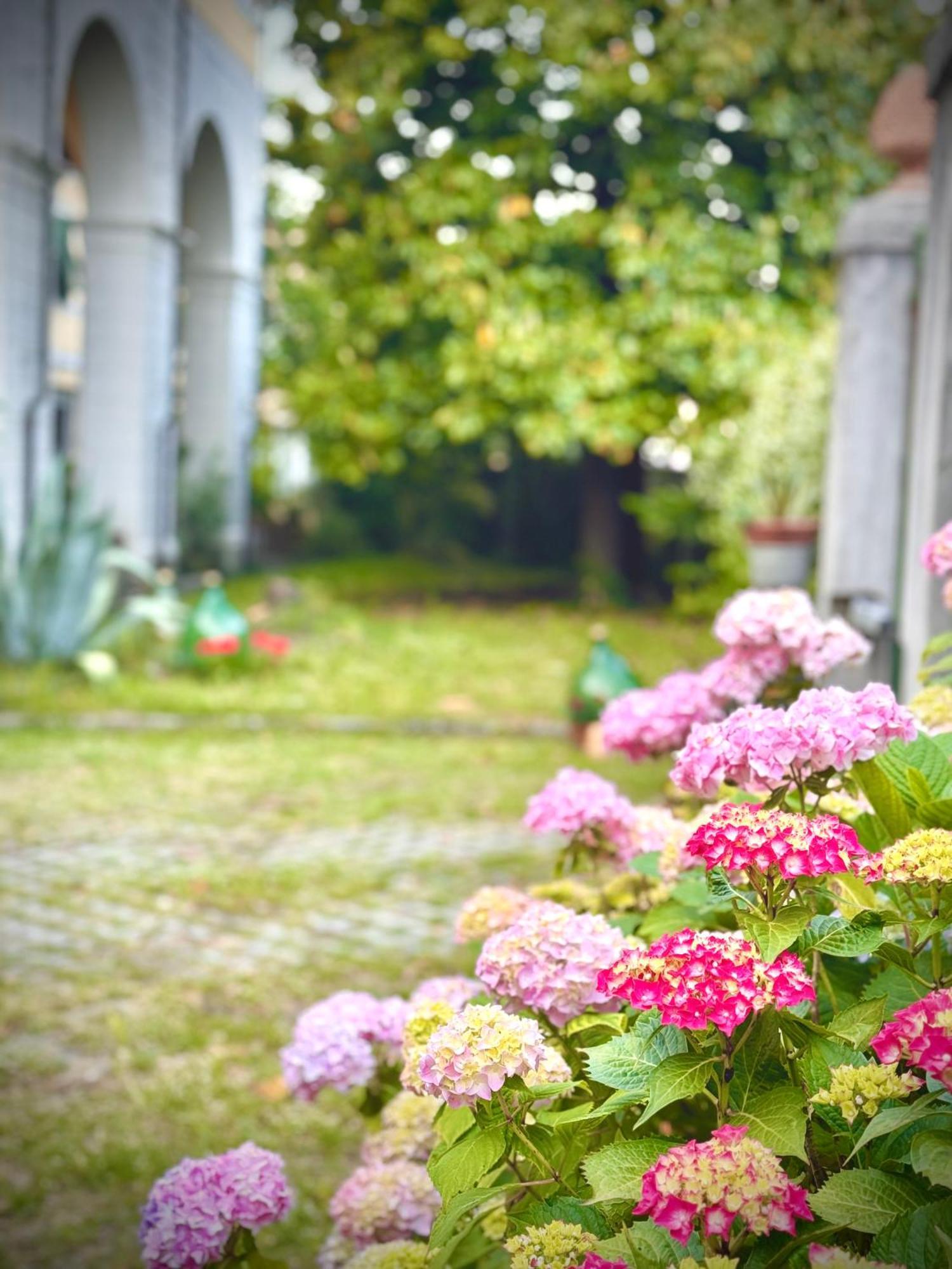 Villa La Dogana B&B Di Charme - Historic Villa With A Beautiful Garden - Private Parking Lucca Exterior foto